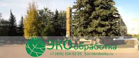 Городская площадь в Климовске